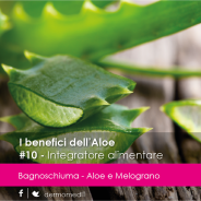 TUTTI I BENEFICI DELL’ALOE